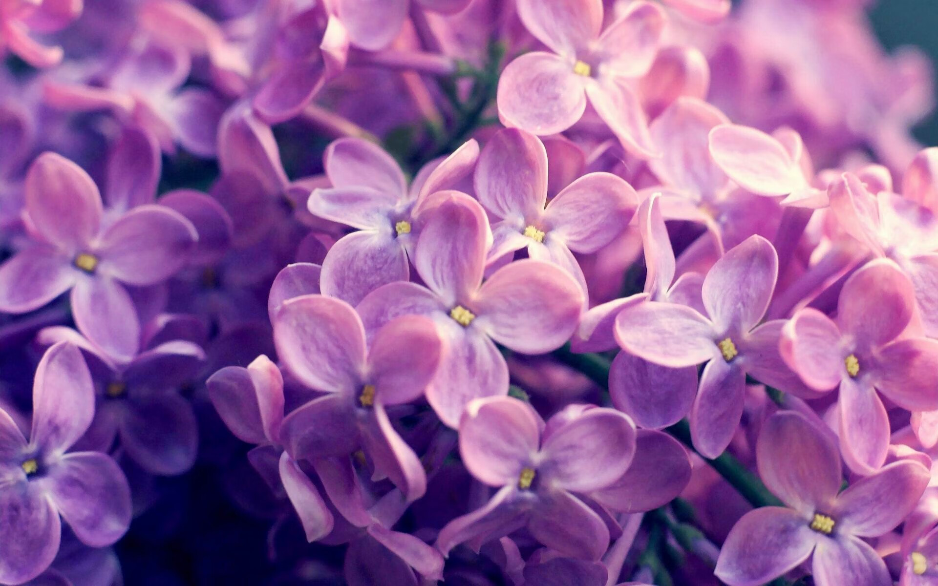 搏击台上火力全开战况激烈，搏击比赛现场精彩讲解