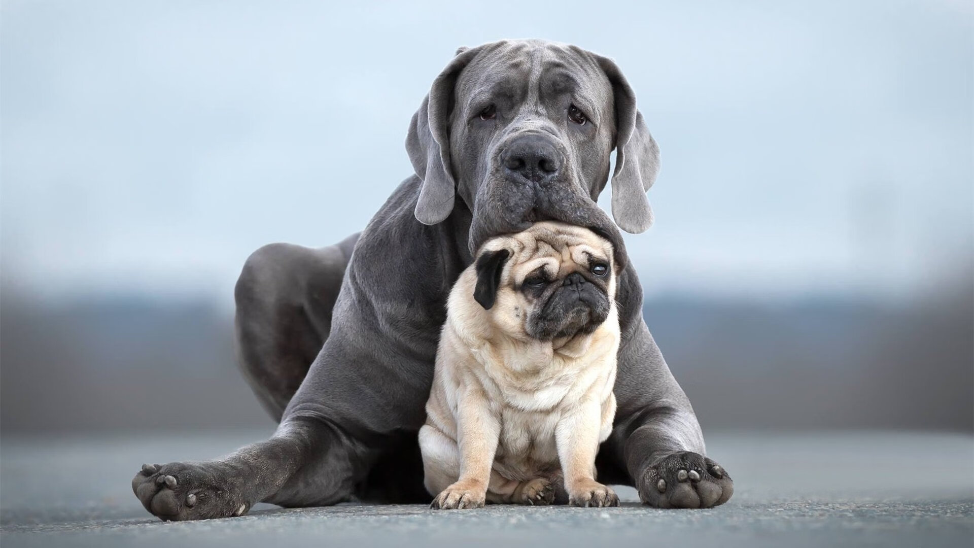 球员决策时延是否显著影响控球队效率表现,足球决策能力