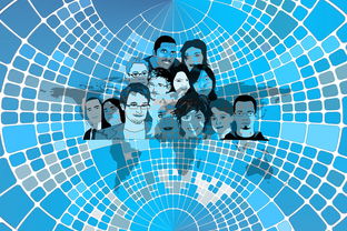 开云体育下载-美国队赛制分析：赛制中的人员调整与战术变化，美国队训练赛