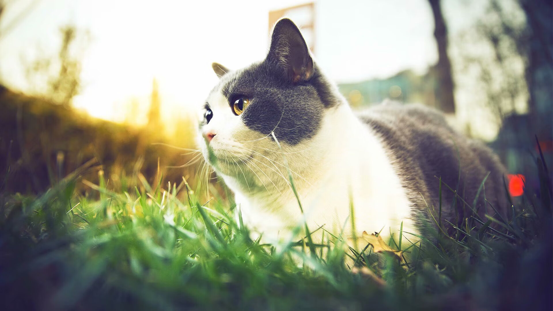 中国足球青训加强守门员专项技能训练，青训守门员考核标准