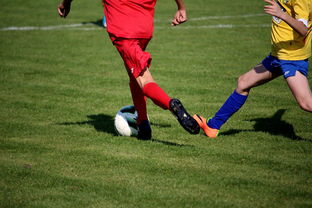 开云体育网站-中小学篮球教研活动不断创新教学方法提升训练效果，篮球教研活动总结