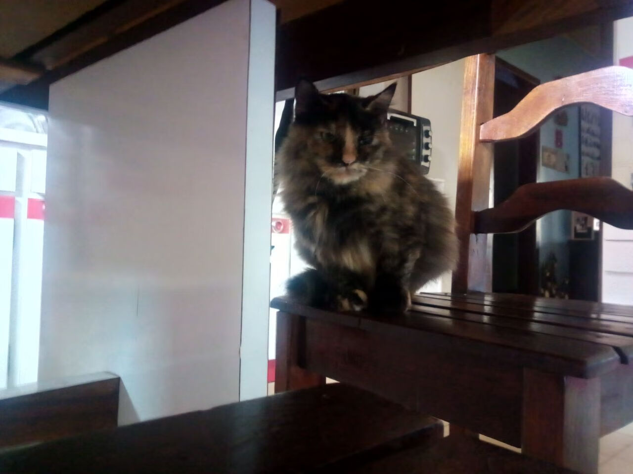 中超数据中心上线提供球队及球员实时表现分析，中超数据从哪里查询