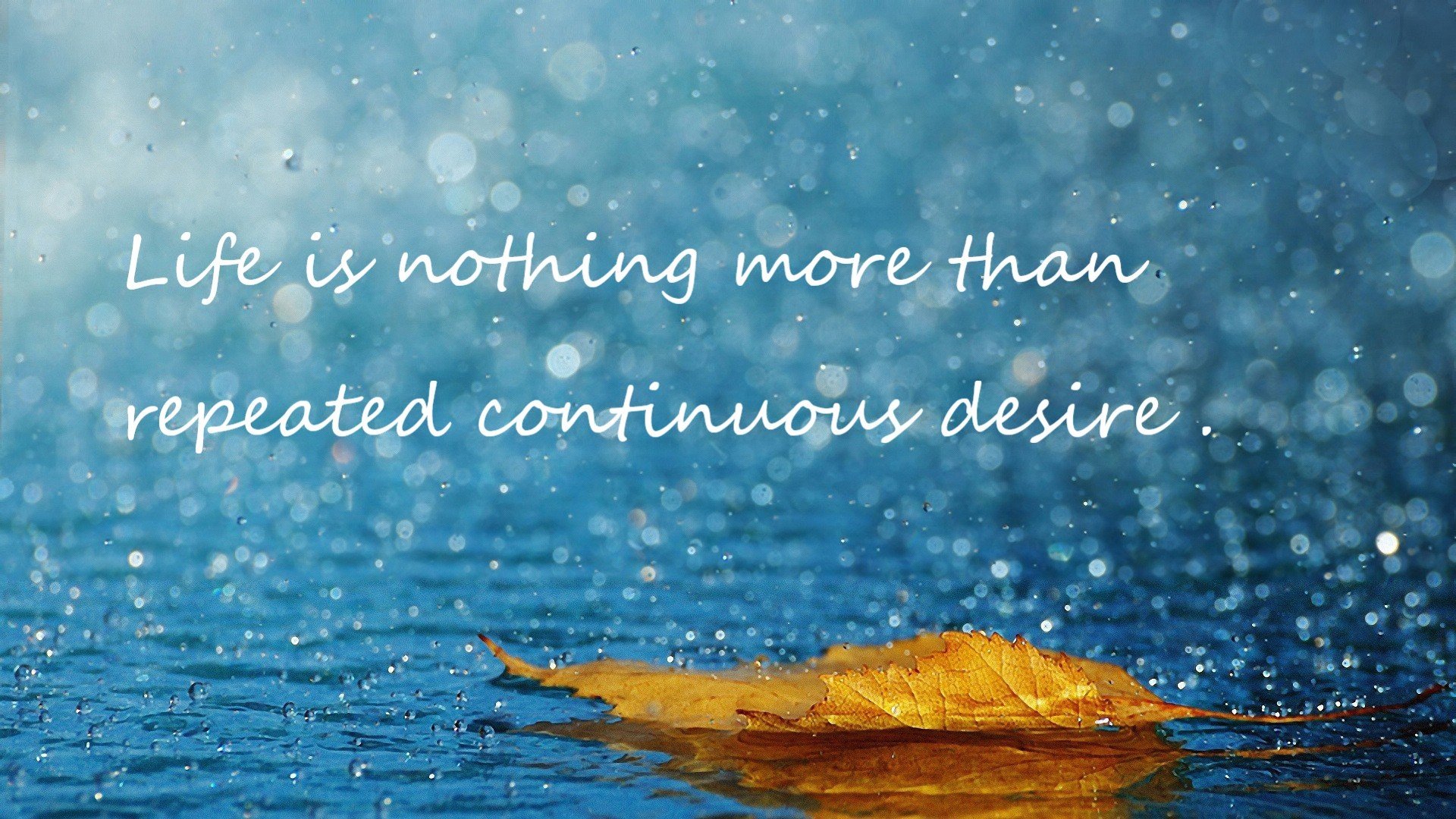 开运体育电脑版-南非男子蝶泳冲刺展现爆发力，男子蝶泳奥运会