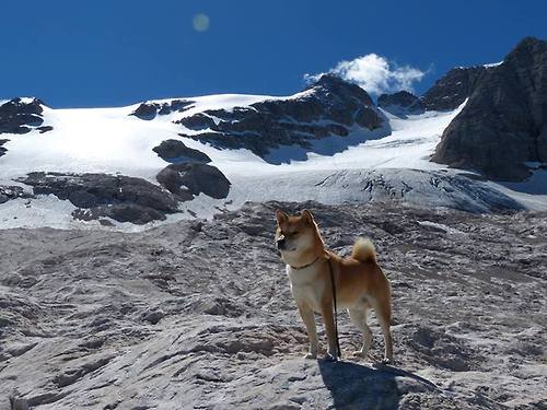滑行段技术效率提升明显，滑行项目