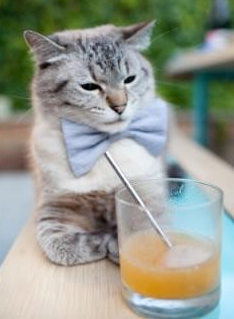 开运体育电脑版-霍特·巴雷特：精准的脚法和领导能力让全黑队进攻得心应手，霍巴特e50