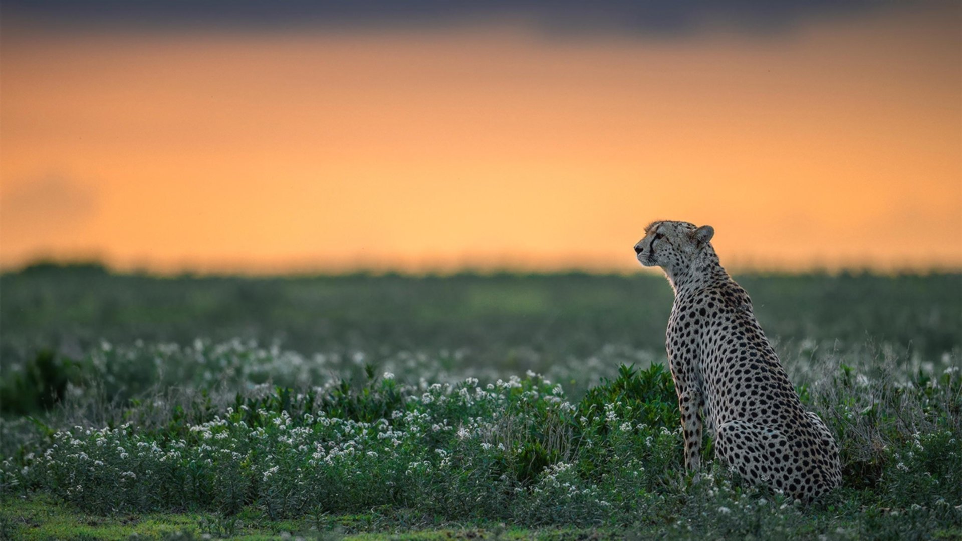 开云体育app注册-《冠军奥运篇》专访韩旭：不愿在奥运会留下遗憾，韩旭参加东京奥运会了吗